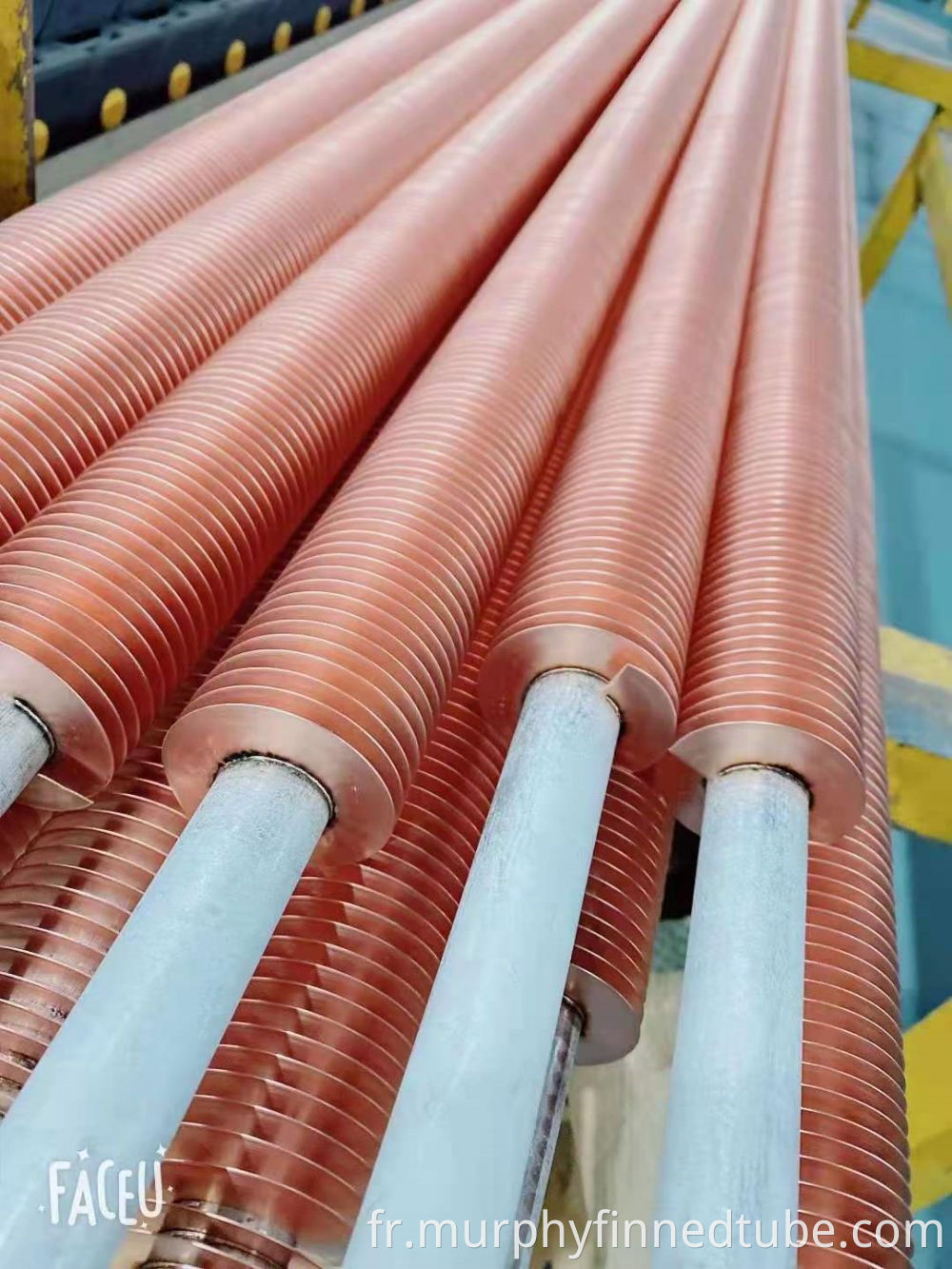 Stainless Steel Welded Pipes